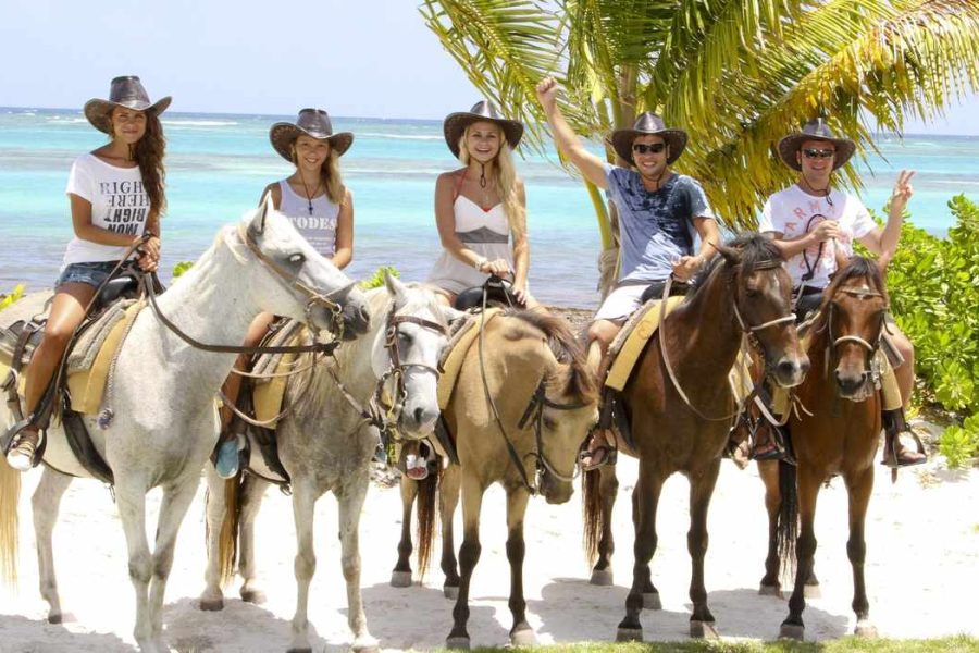 Ride Through Paradise: Scenic Horseback Riding Adventure